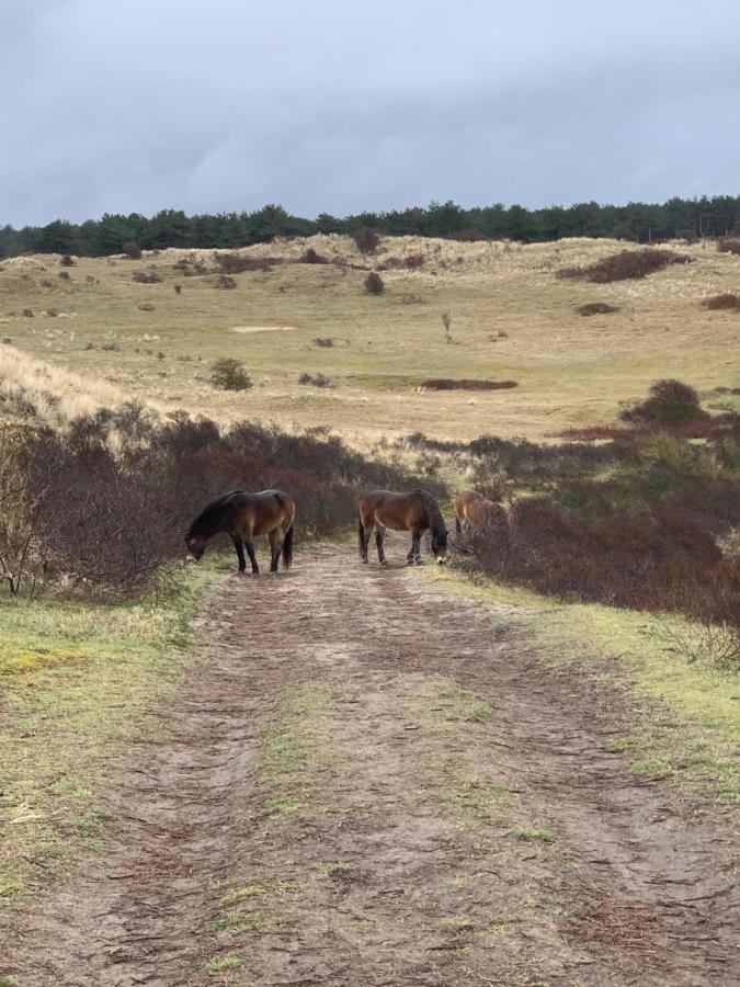 Huize Louwra Vila Egmond-Binnen Exterior foto