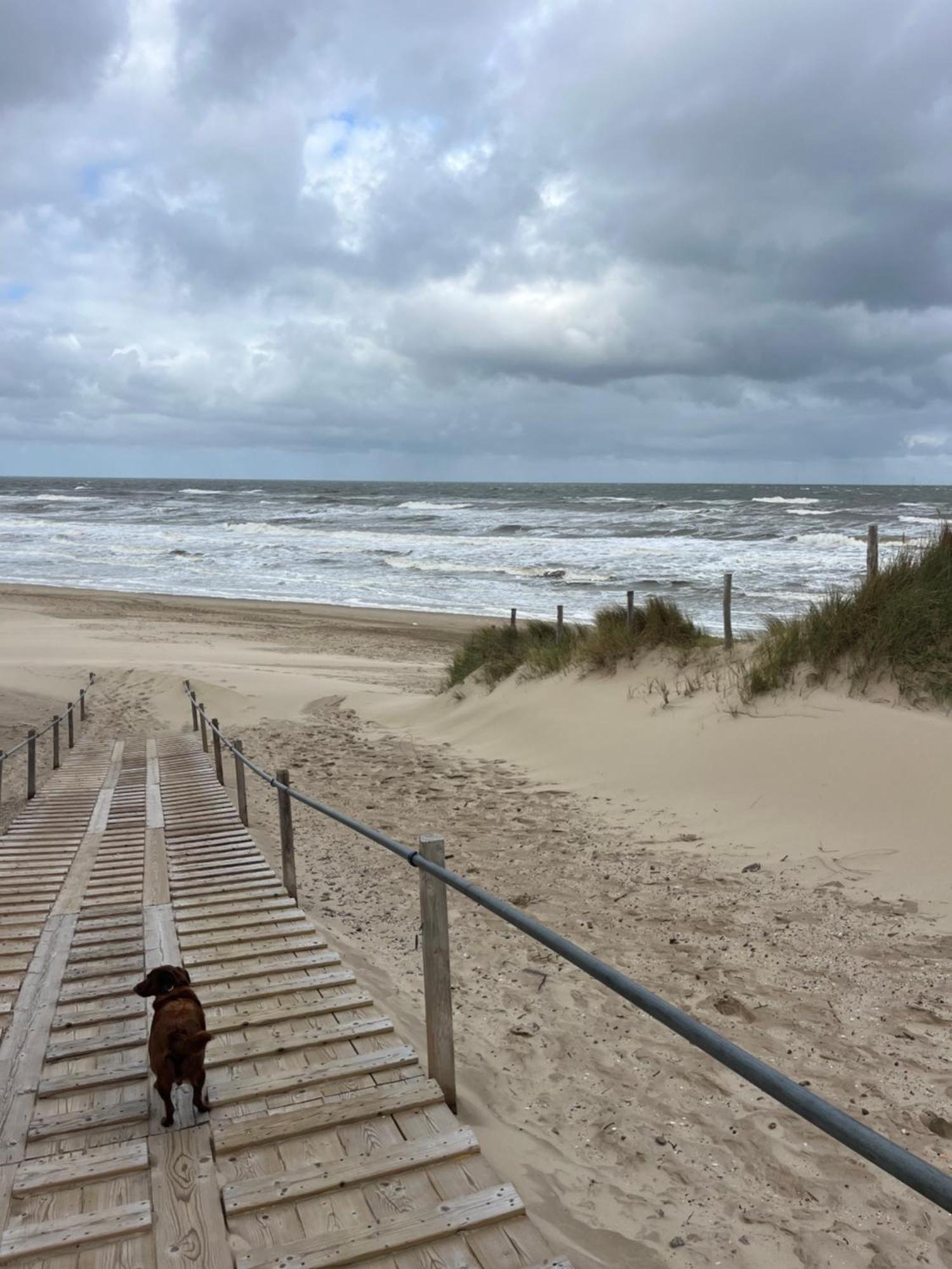 Huize Louwra Vila Egmond-Binnen Exterior foto